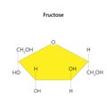 Fructose, or fruit sugar. Molecular structure.